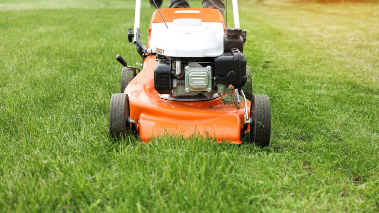 Do New Lawn Mower Blades Come Sharpened? What To Know Before You Buy