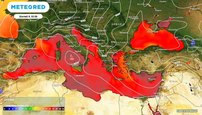O aquecimento abre caminho para centenas de espécies exóticas termofílicas, que chegam principalmente do Mar Vermelho através do Canal de Suez (espécies lessepsianas) ou por meio do transporte marítimo. Mais de 1.000 espécies não nativas já estão presentes, e muitas estão se tornando invasoras.