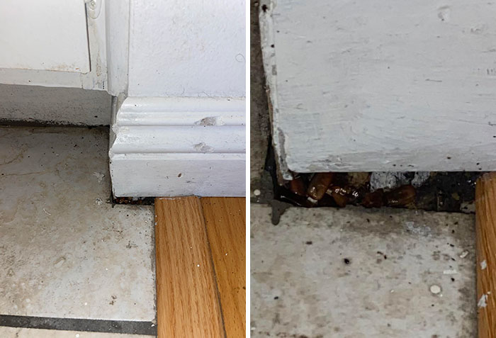 44 Landlord Specials That Show How Bad Repairs Can Get
