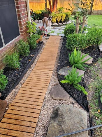 Garden pathway with wooden steps surrounded by plants and rocks. A dog stands at the end of the path, near bushes and a tree