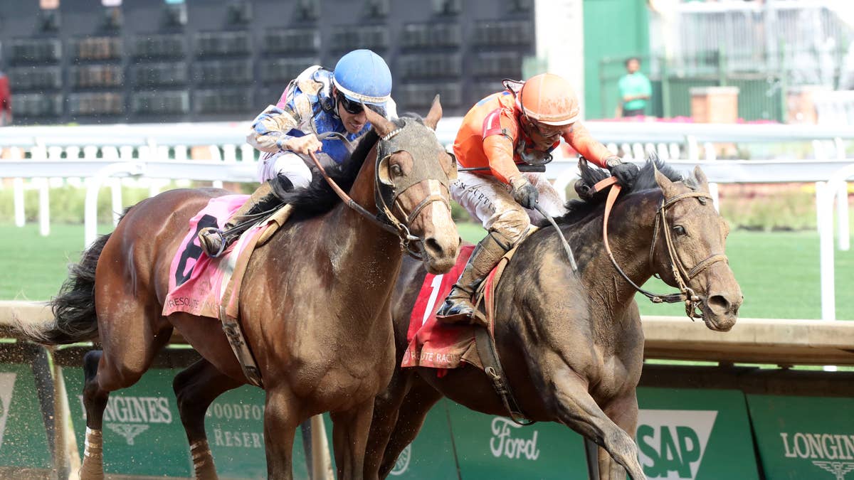 Stakes-placed Timeout to enter stud in Venezuela after Fasig-Tipton sale