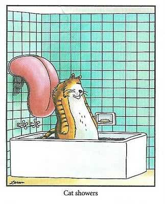 This cat showers in The Far Side.
