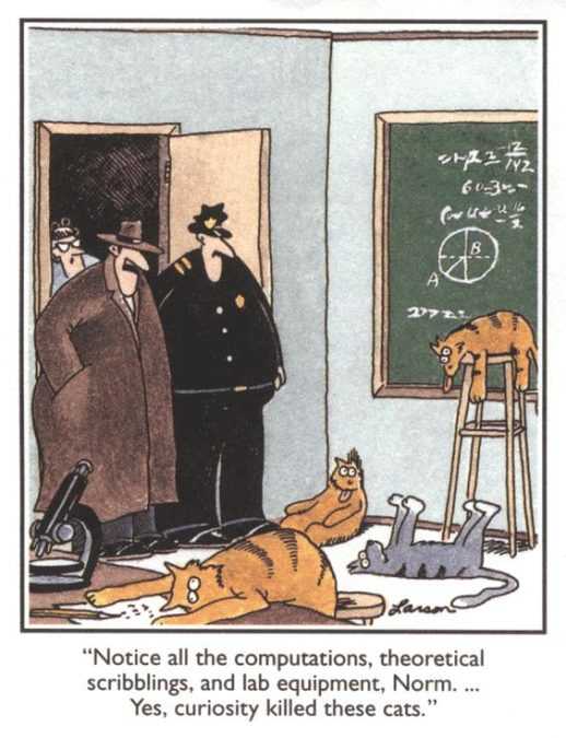Curiosity killed these cats in The Far Side.