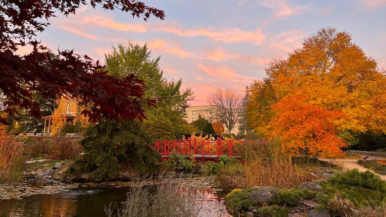 This best-kept Wisconsin secret is a whimsical, free-to-visit botanical garden full of vibrant urban beauty