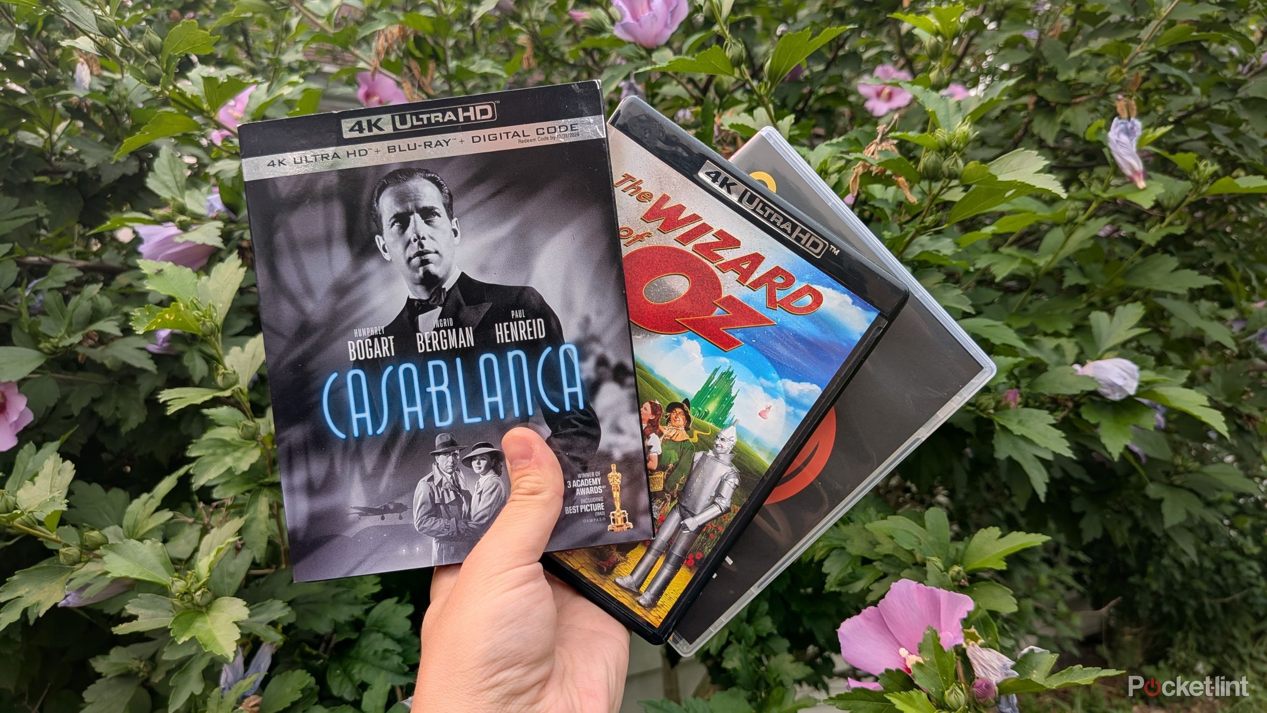 Don't make these 3 common 4K UHD collector mistakes