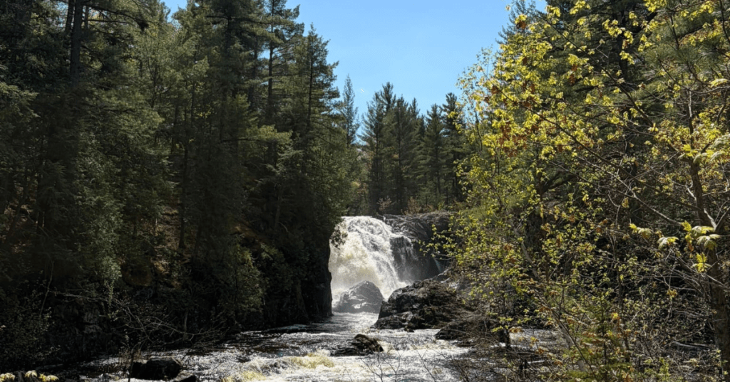 Distant view of a large waterfall pouring through a gorge lined with pine trees at Dead River Falls, MI.