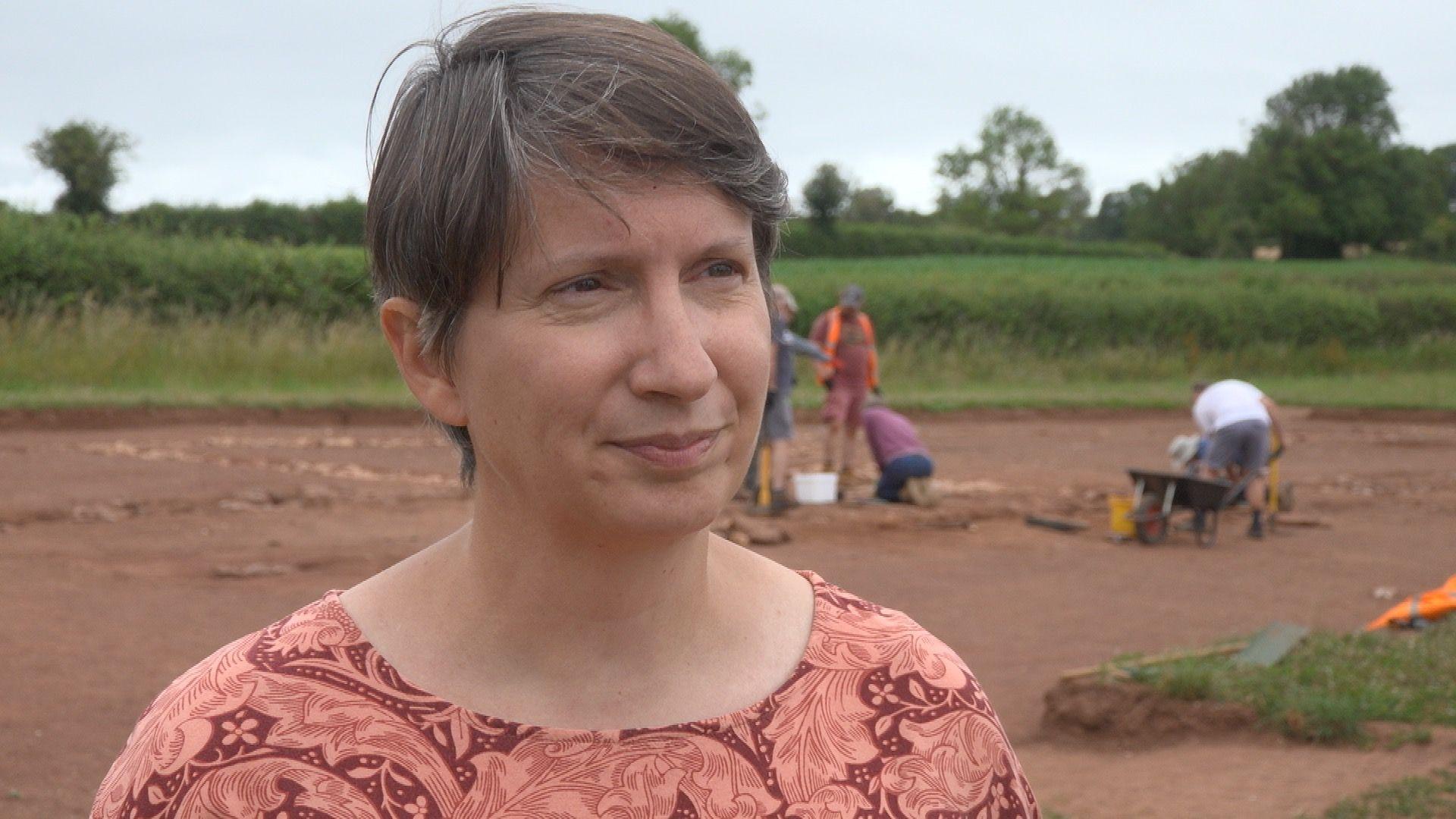 'Dream' Roman mosaic find dug up from farmland