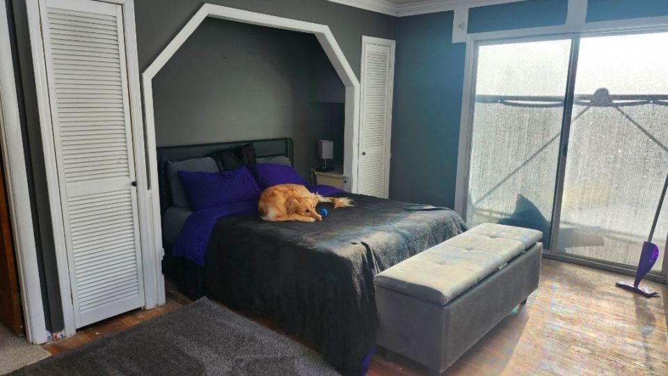 This is the Dodges' bedroom after the couple repainted it. Their dog, Emma, is on the bed. - Courtesy Molly Dodge