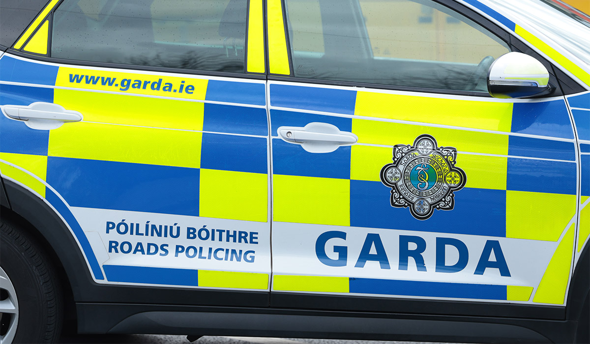 Gardai issue appeal after woman, 80s, robbed in her Dublin driveway