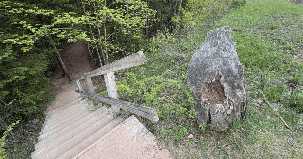 Wooden stairs and a rustic handrail leading down a dirt hiking trail at Dead River Falls in Marquette, MI.