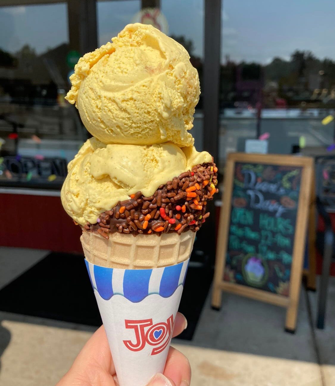 The top 10 ice cream shops in North Jersey, ranked