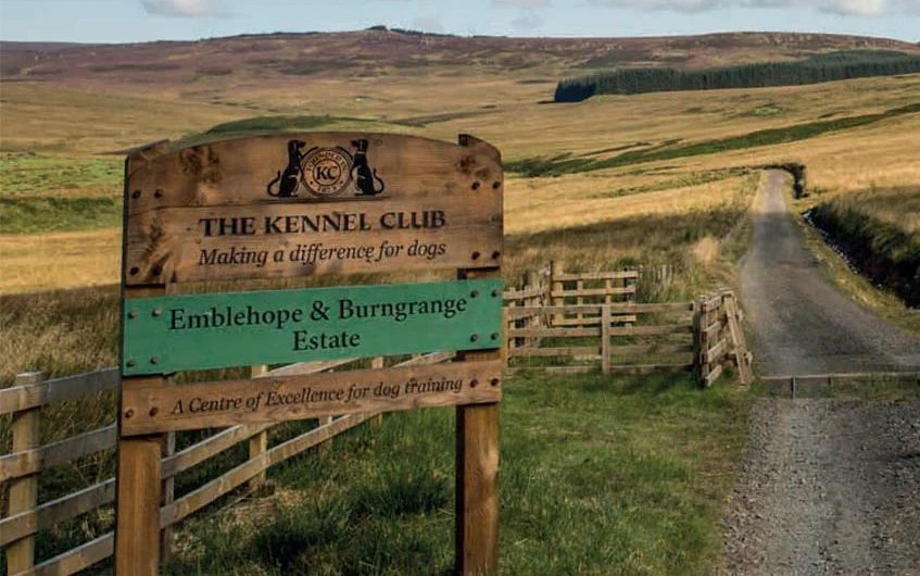 Outside of the Emblehope estate