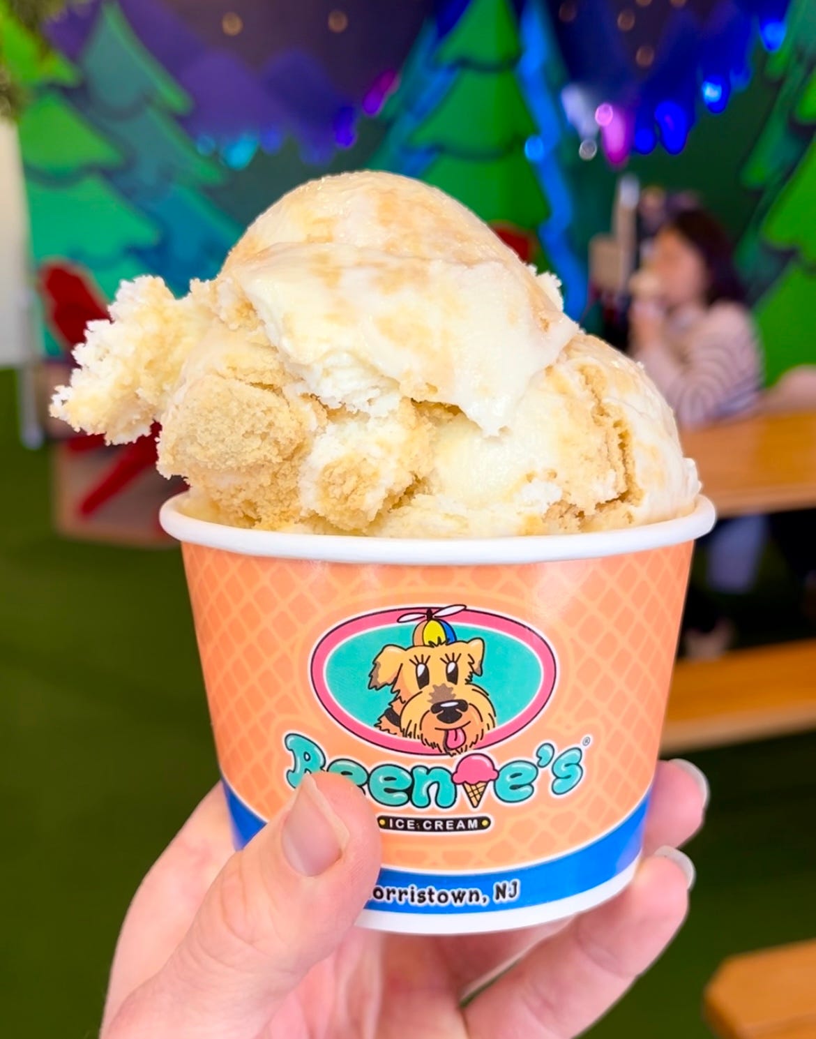 The top 10 ice cream shops in North Jersey, ranked