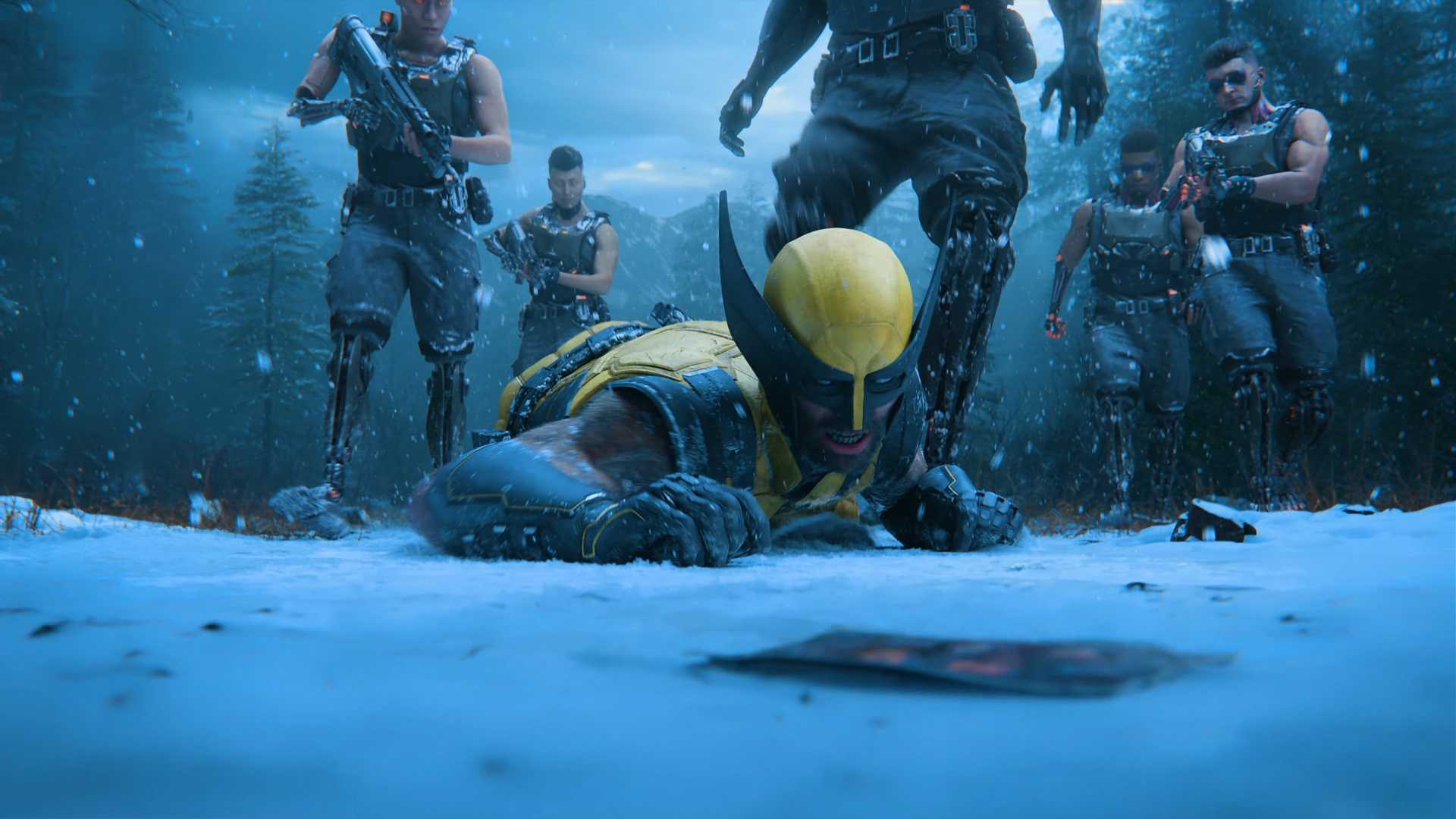 Wolverine face-down in the snow