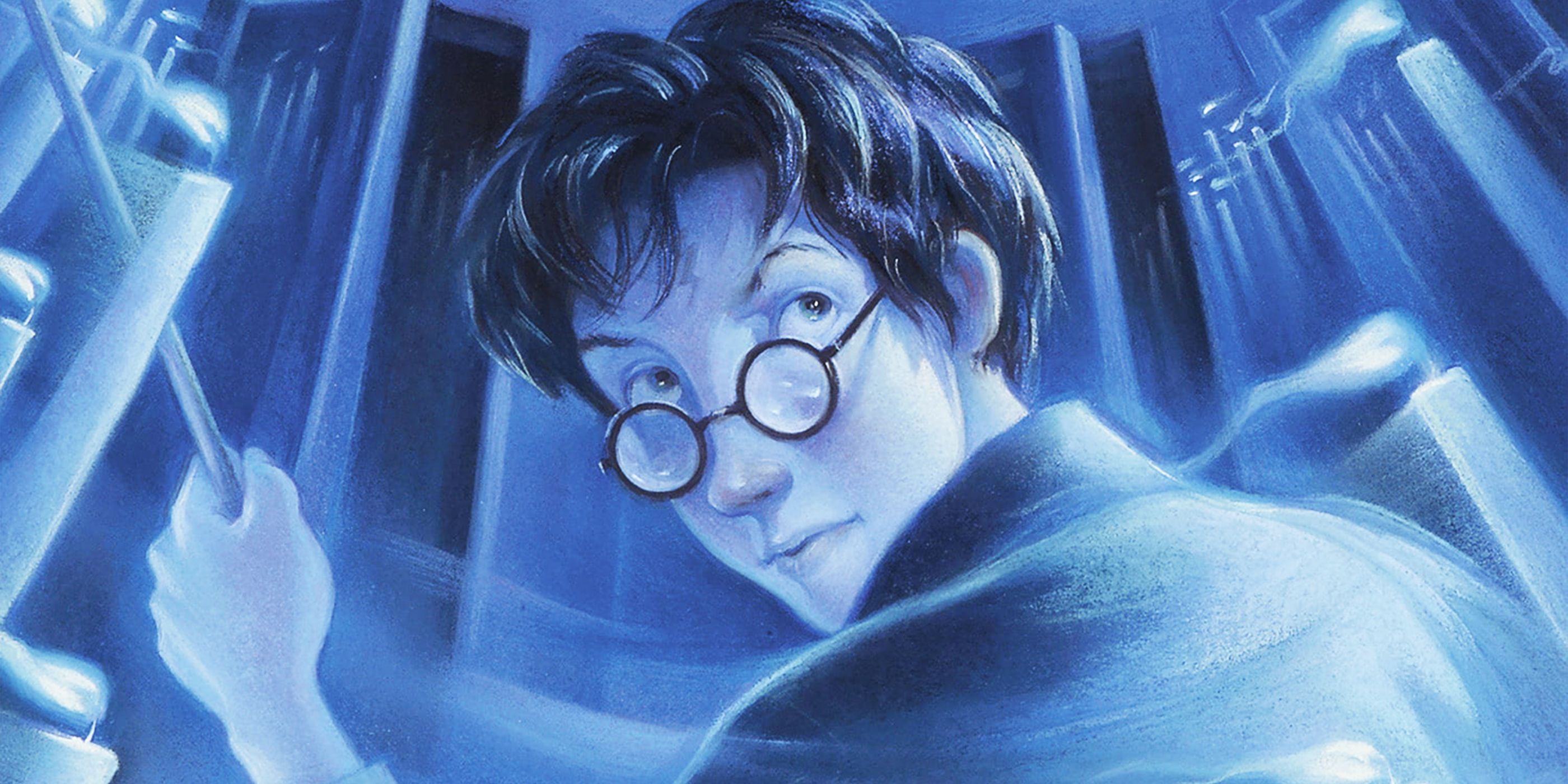 As a Casual Harry Potter Fan, Here's How I'd Rank All 7 Books