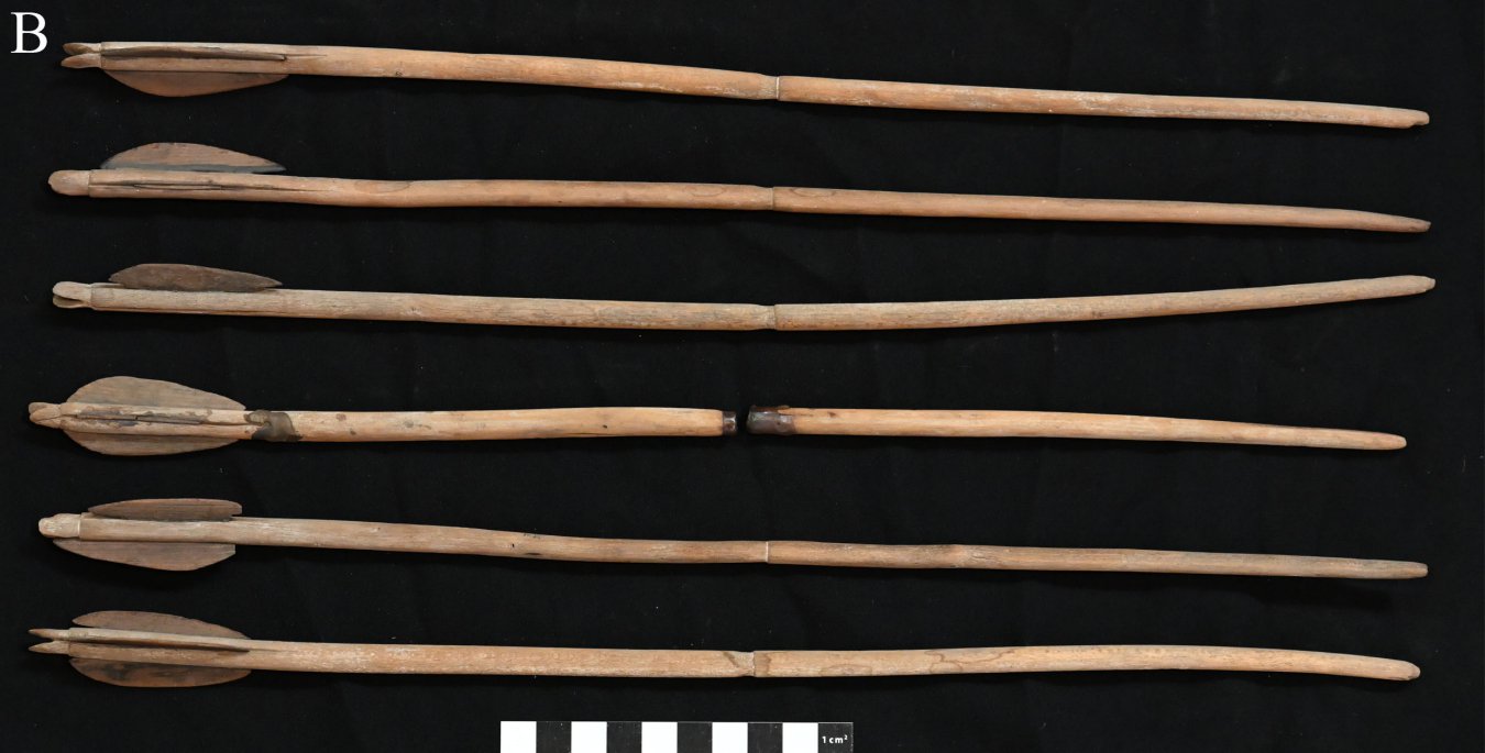 The arrows buried with Princess Noub Hotep