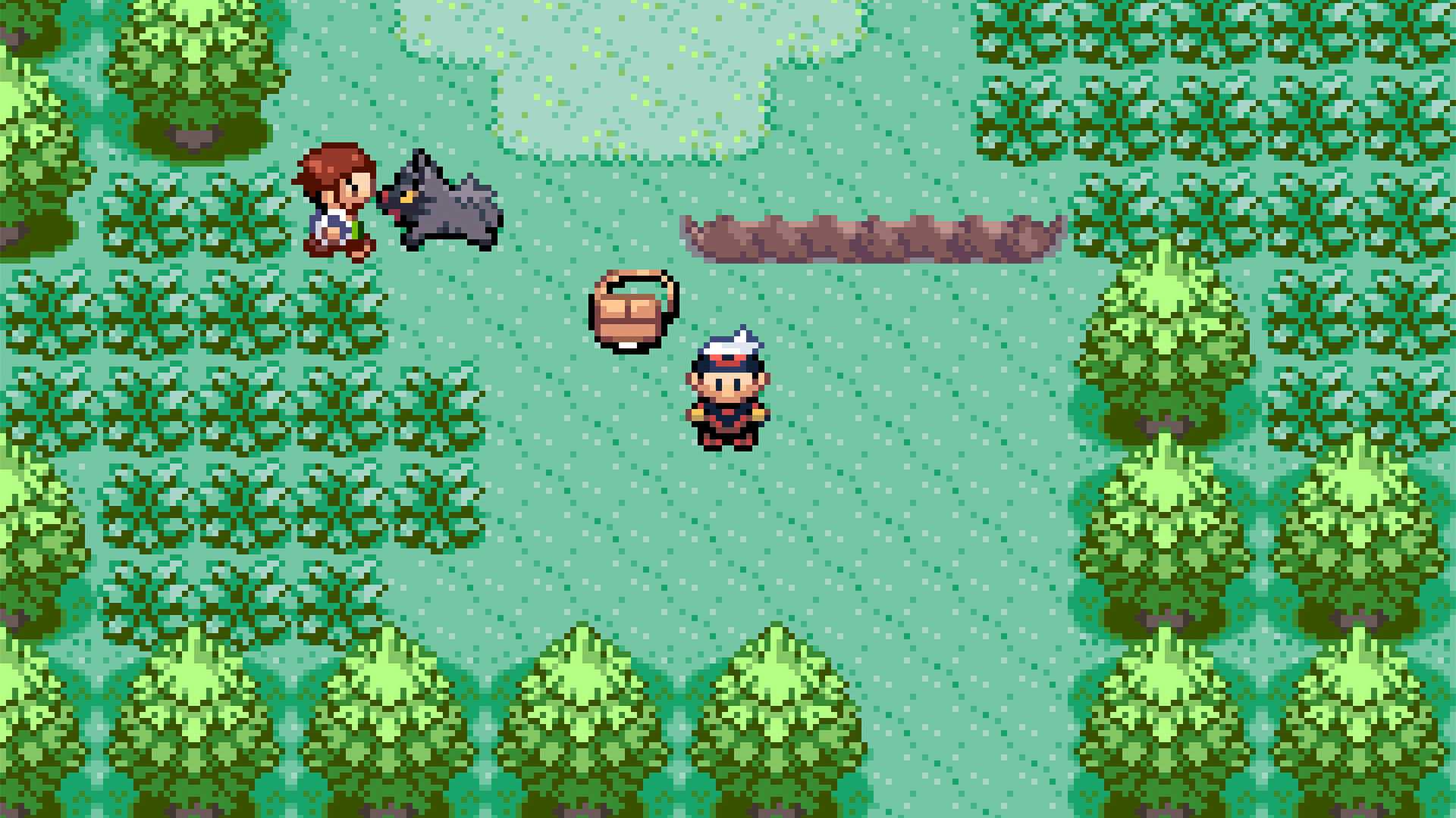 Pokemon Emerald Route 102