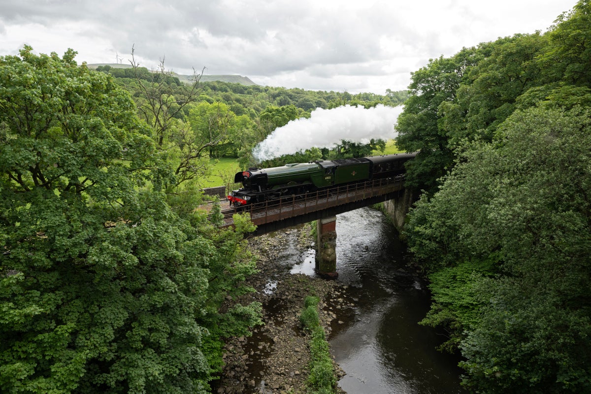  Steam trains ban after ‘Harry Potter’ train sparks wildfire Illustration 