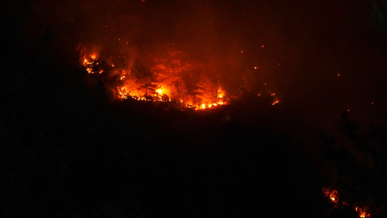 The Norte Fire burned 570 acres above San Clemente and damaged or ...