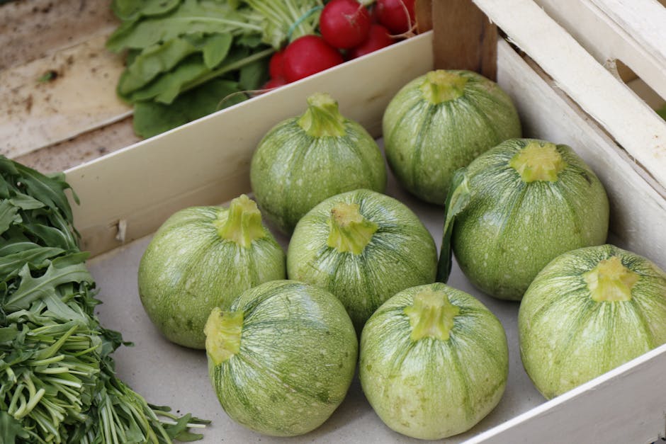 7. Ronde de Nice (Baby Round Zucchini) (Image Credits: Pexels)