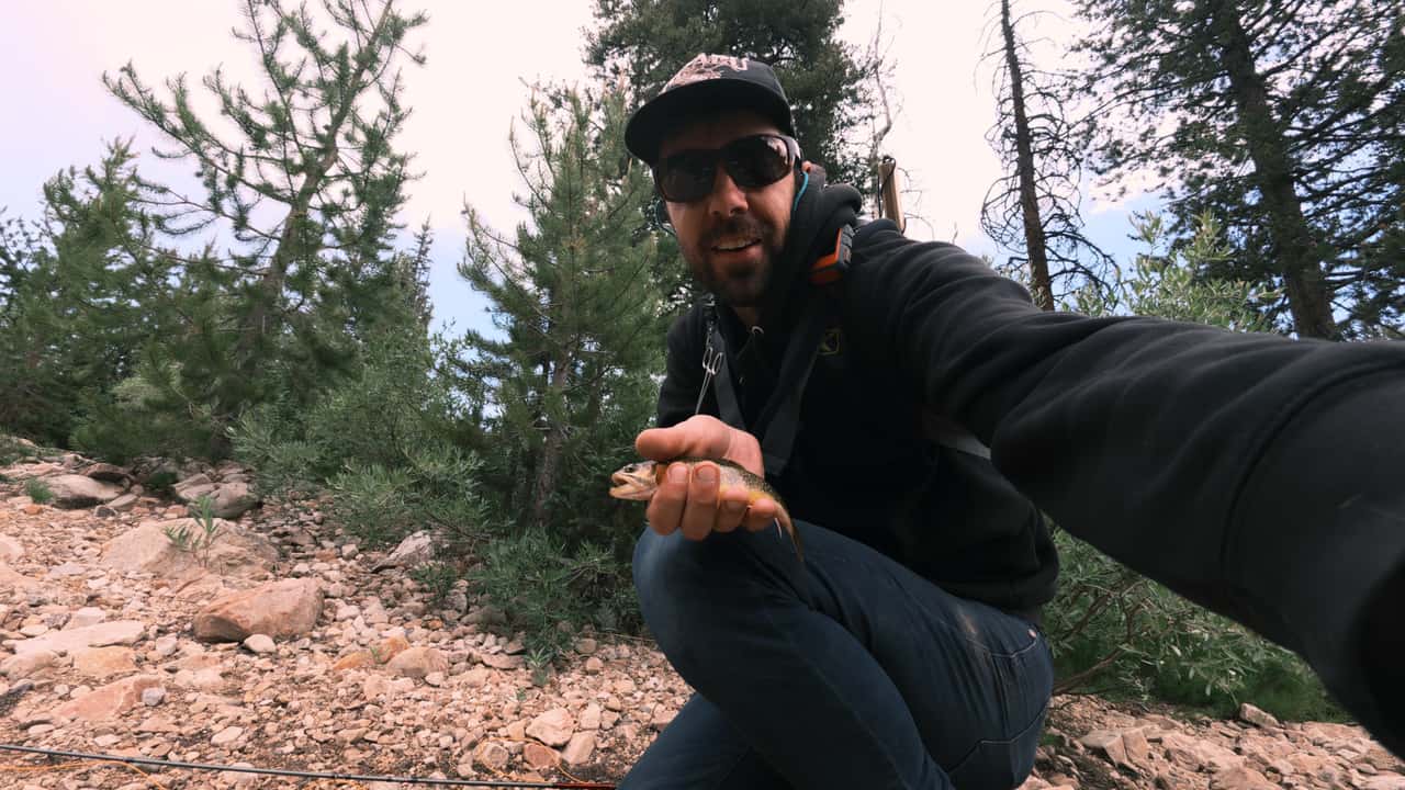 The tiniest of trout.