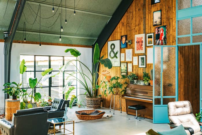 A stylish living space with lots of natural light