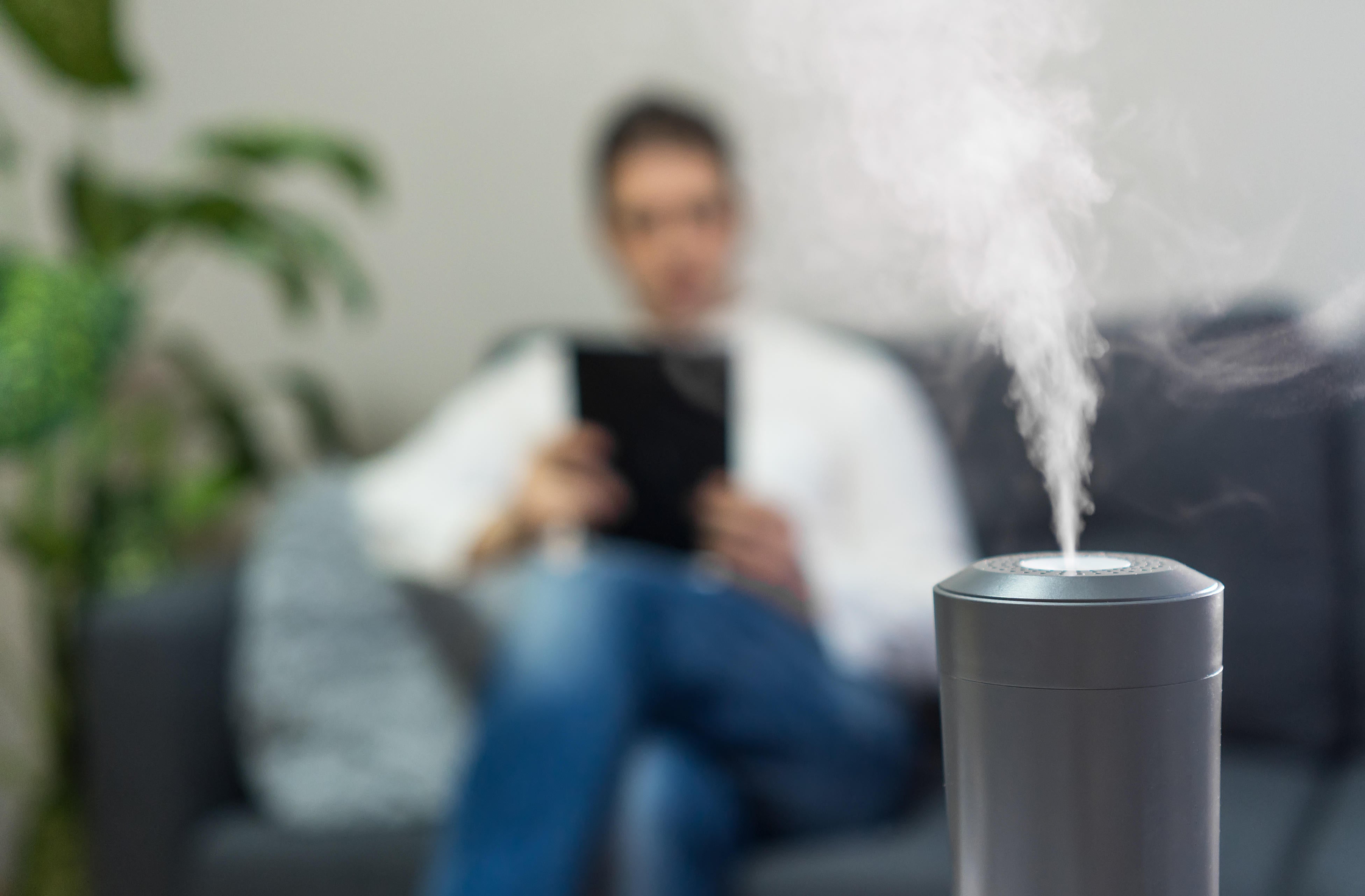House plants can help maintain moisture some of the moisture in the air