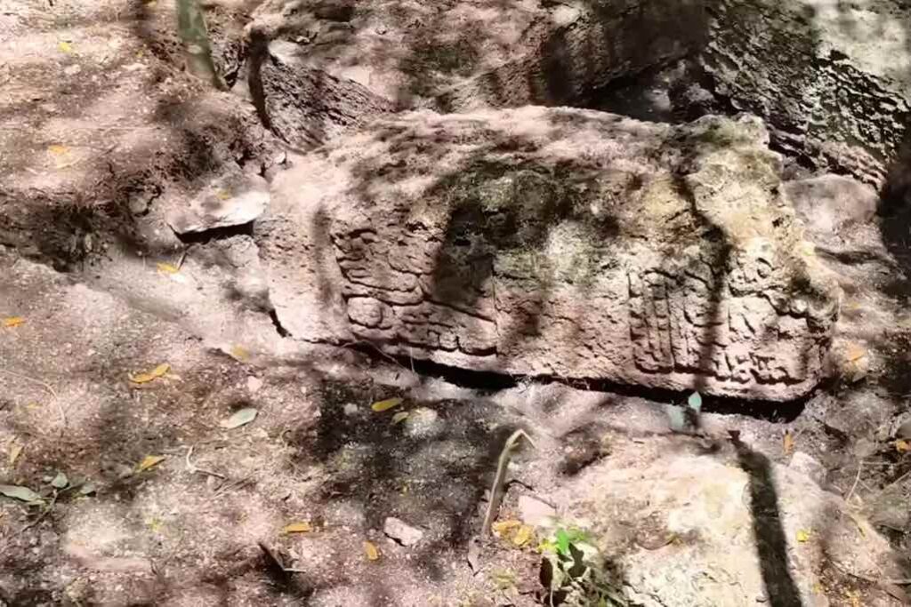 Lost Maya City Emerges From Mexico's Jungle After Centuries