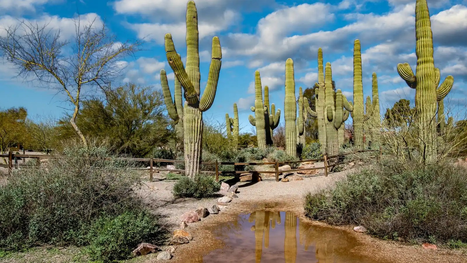 I thought I'd retire in Arizona, but this hidden gem state stole my heart