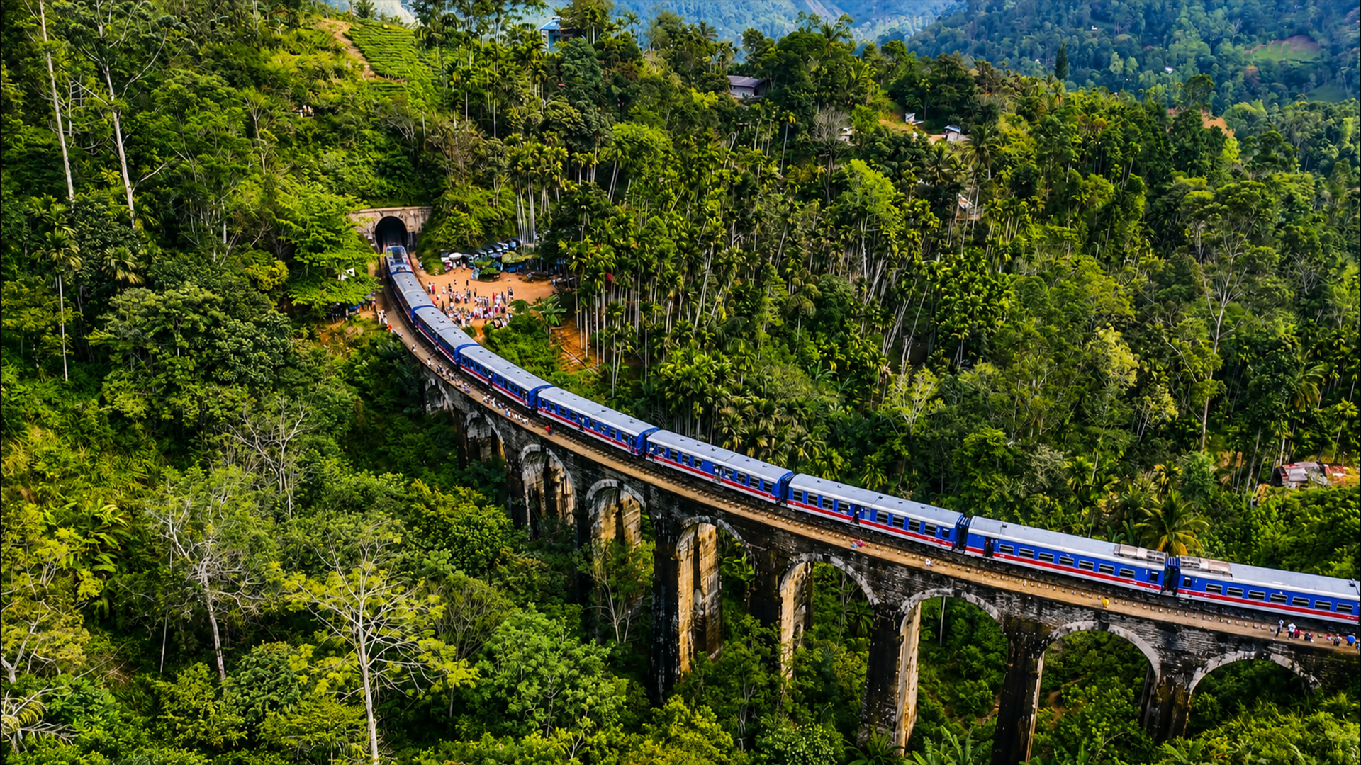 One train, one bridge, endless views