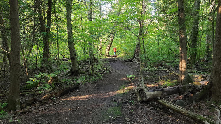 An hour from Toronto is a charming Ontario town with outdoor fun, shops ...
