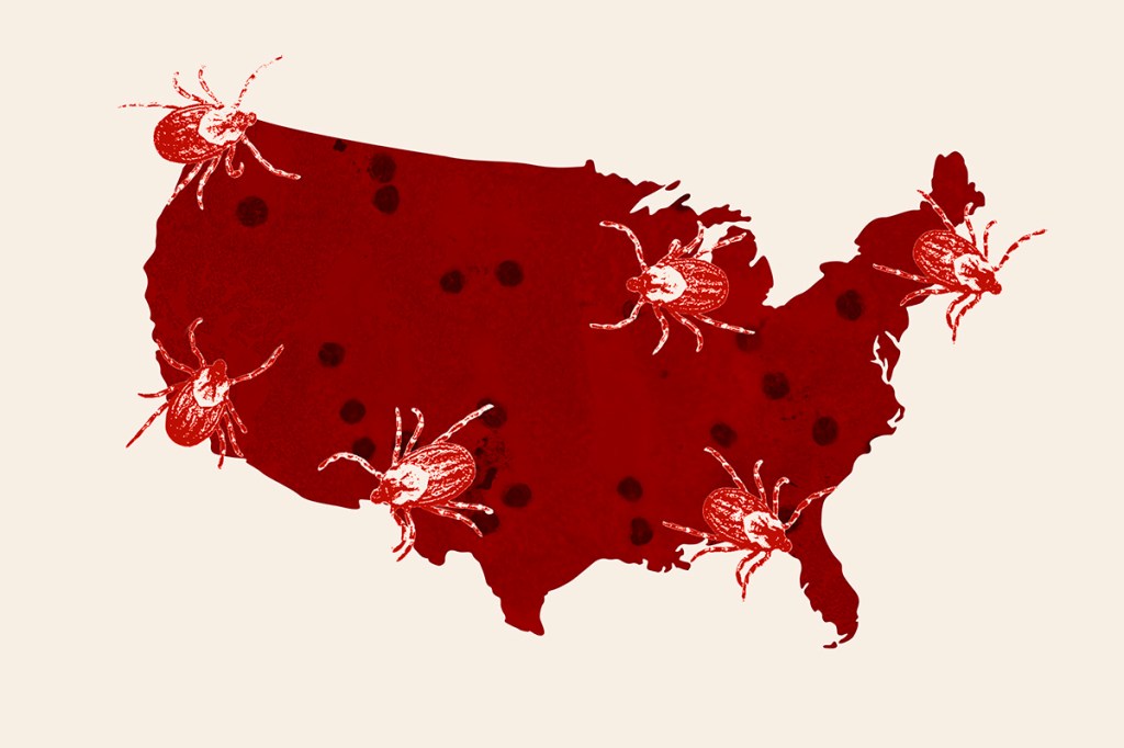 A tick-borne disease has no warning rash and doctors say it's spreading across the U.S.