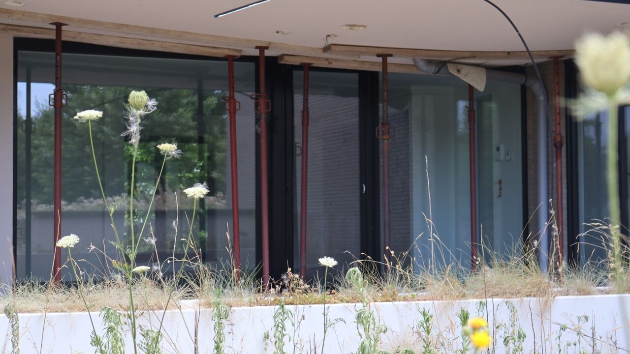 Verzekeraar 'rotte appartementen' in Sint-Truiden tekent beroep aan ...