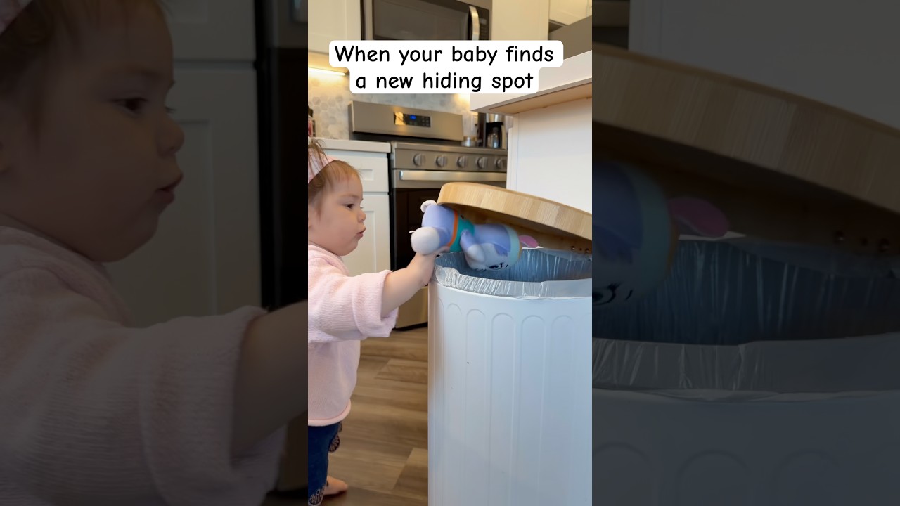 Cheeky infant secretly conceals everyday objects all over the house