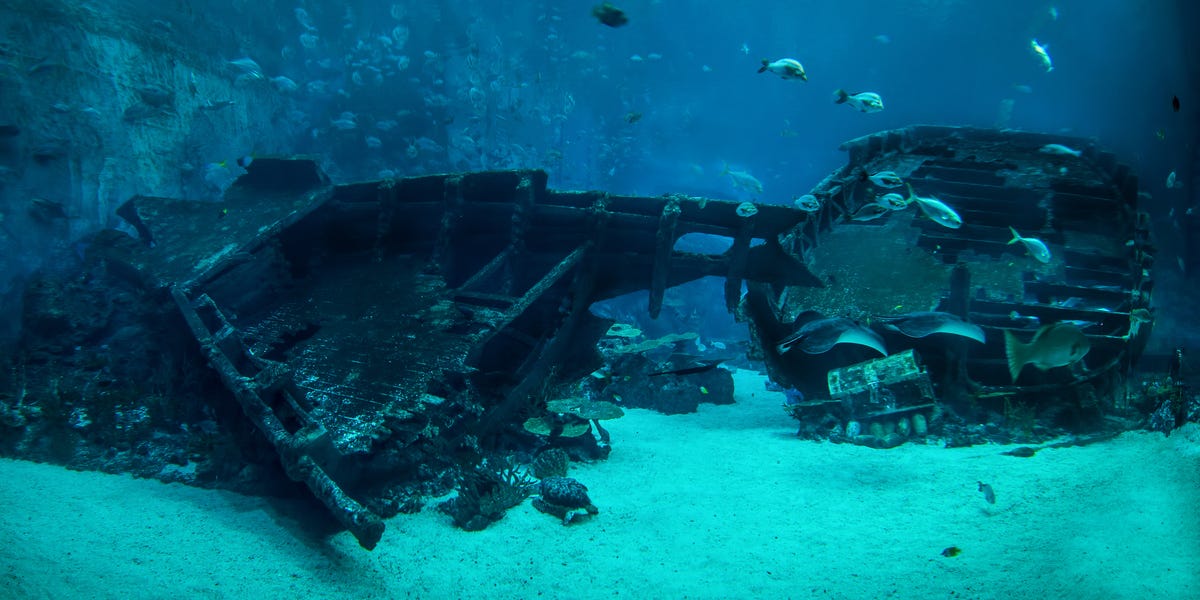 Three Ships Gave Up the ‘Artifact of the Decade’