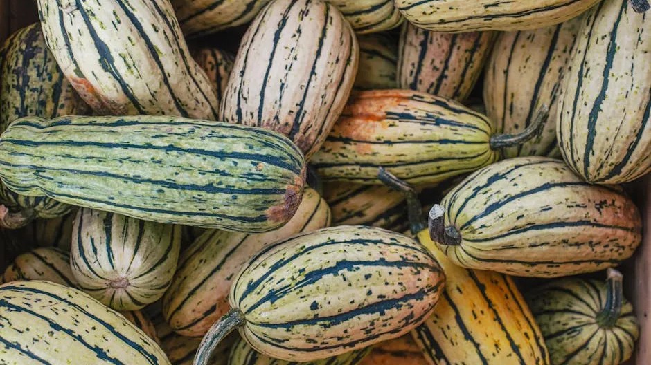 7 High-Yield Squash Varieties That Practically Grow Themselves