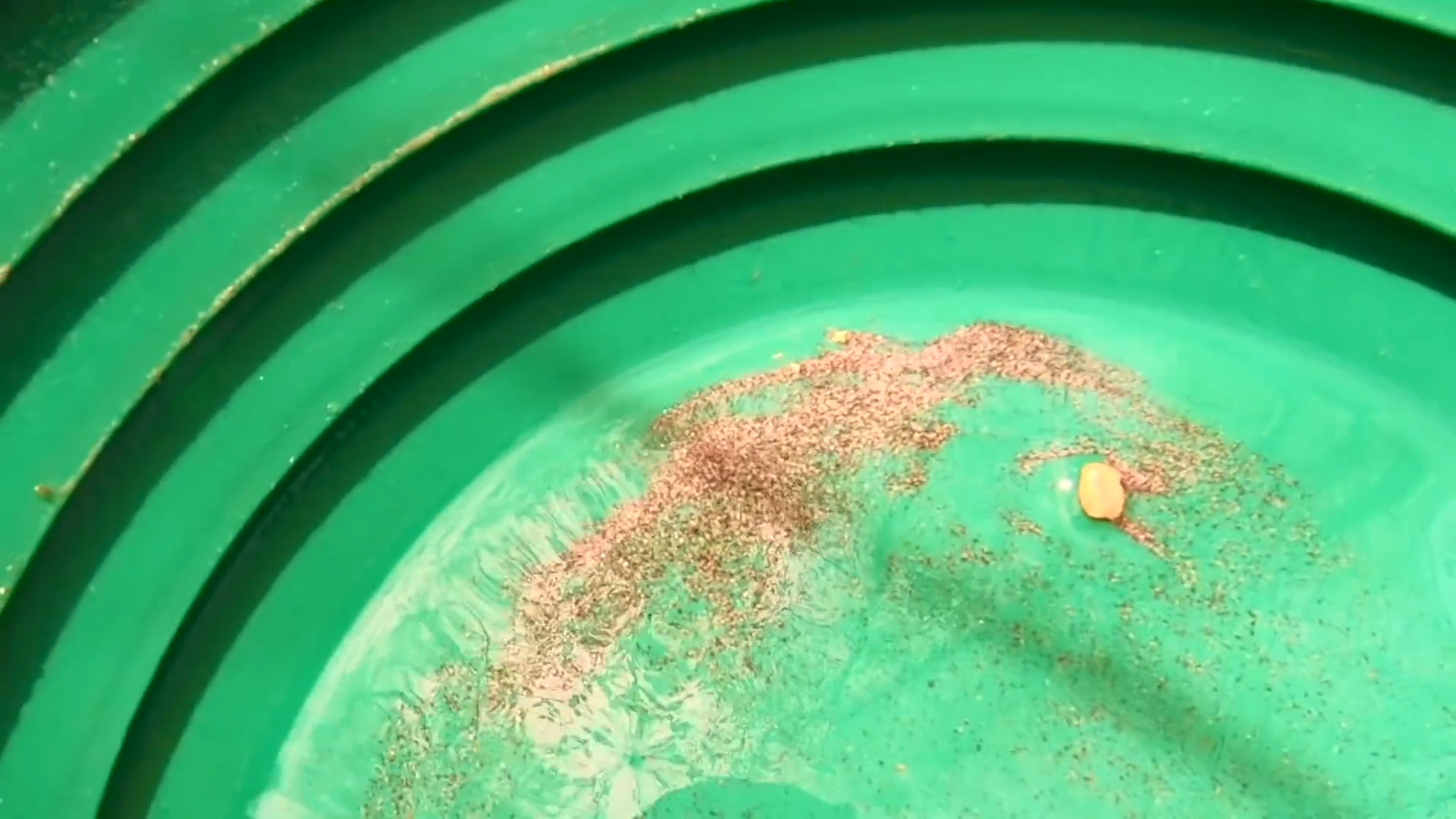 All the gold changed color - A 120-year-old poison was still there