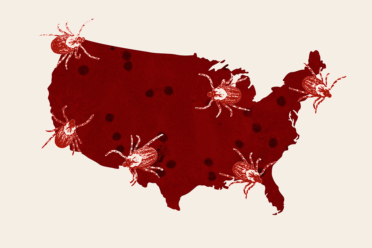 Multiple-Tick-borne-Illnesses-Across-the-US