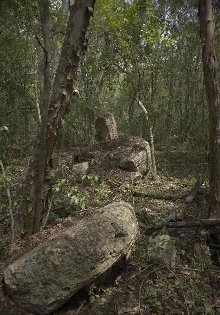 Lost Maya City Emerges From Mexico's Jungle After Centuries