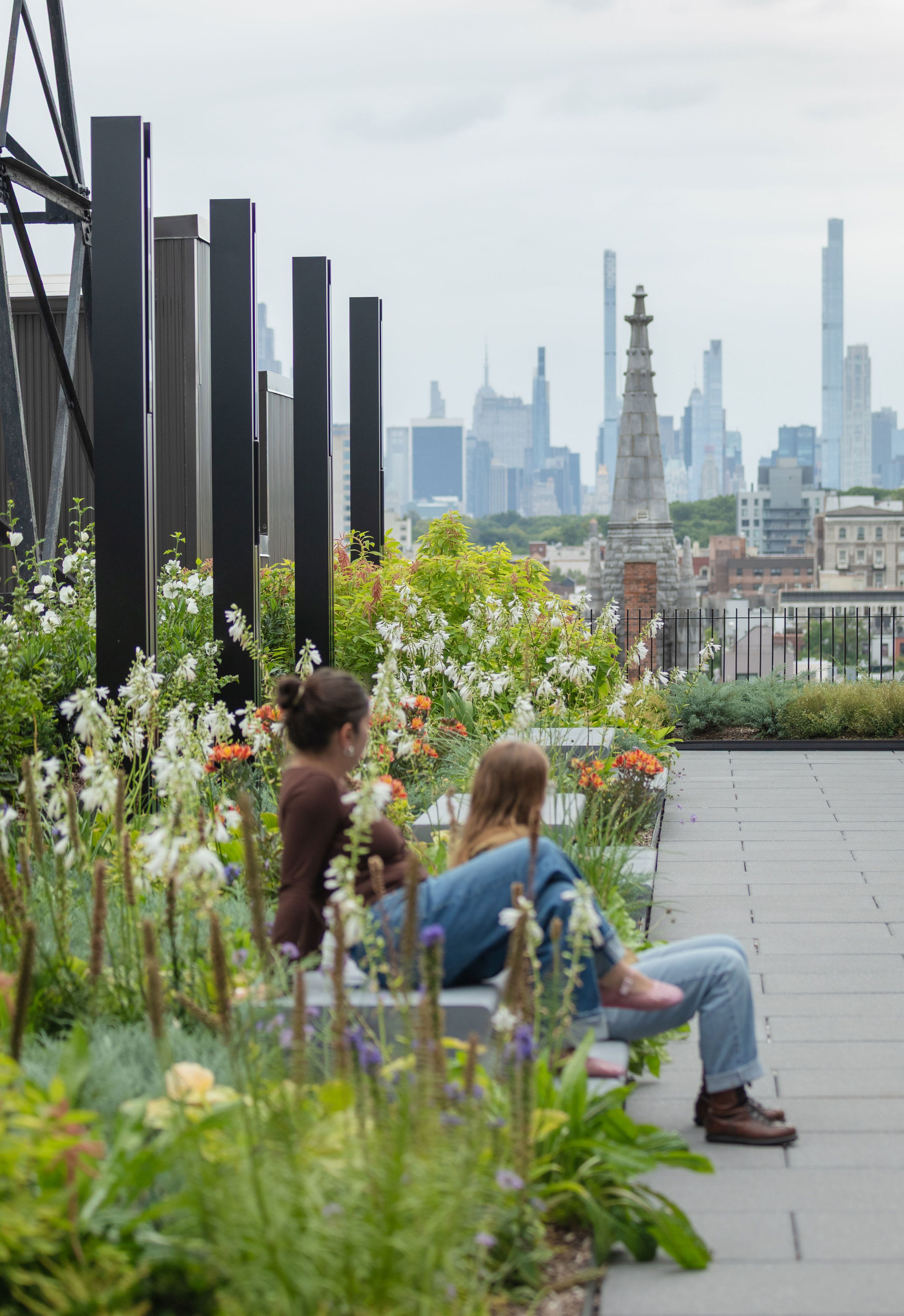 The rooftop at the Studio Museum in Harlem was designed by Studio Zewde.