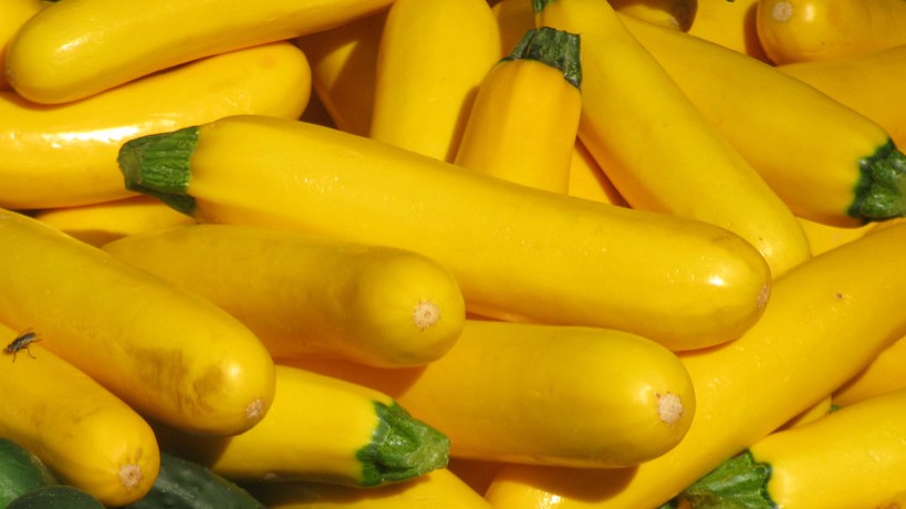 2. Yellow Crookneck Squash (Image Credits: Flickr)
