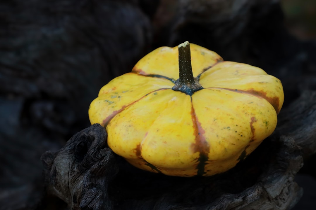 3. Patty Pan Squash (Image Credits: Unsplash)