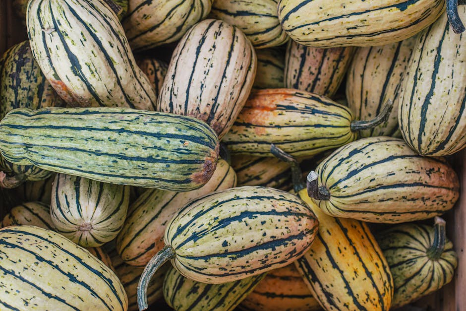 5. Delicata Squash (Image Credits: Pexels)