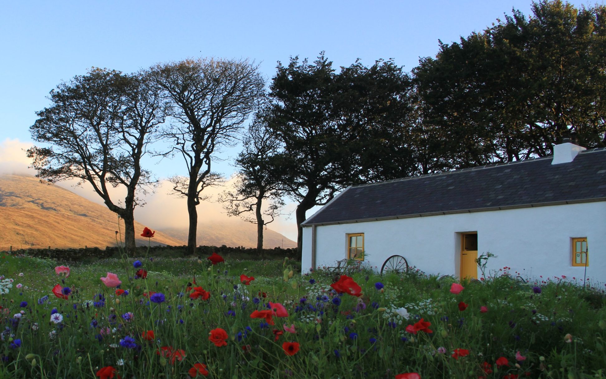 Thatched Mountain Cottage, Enniskeen Estate