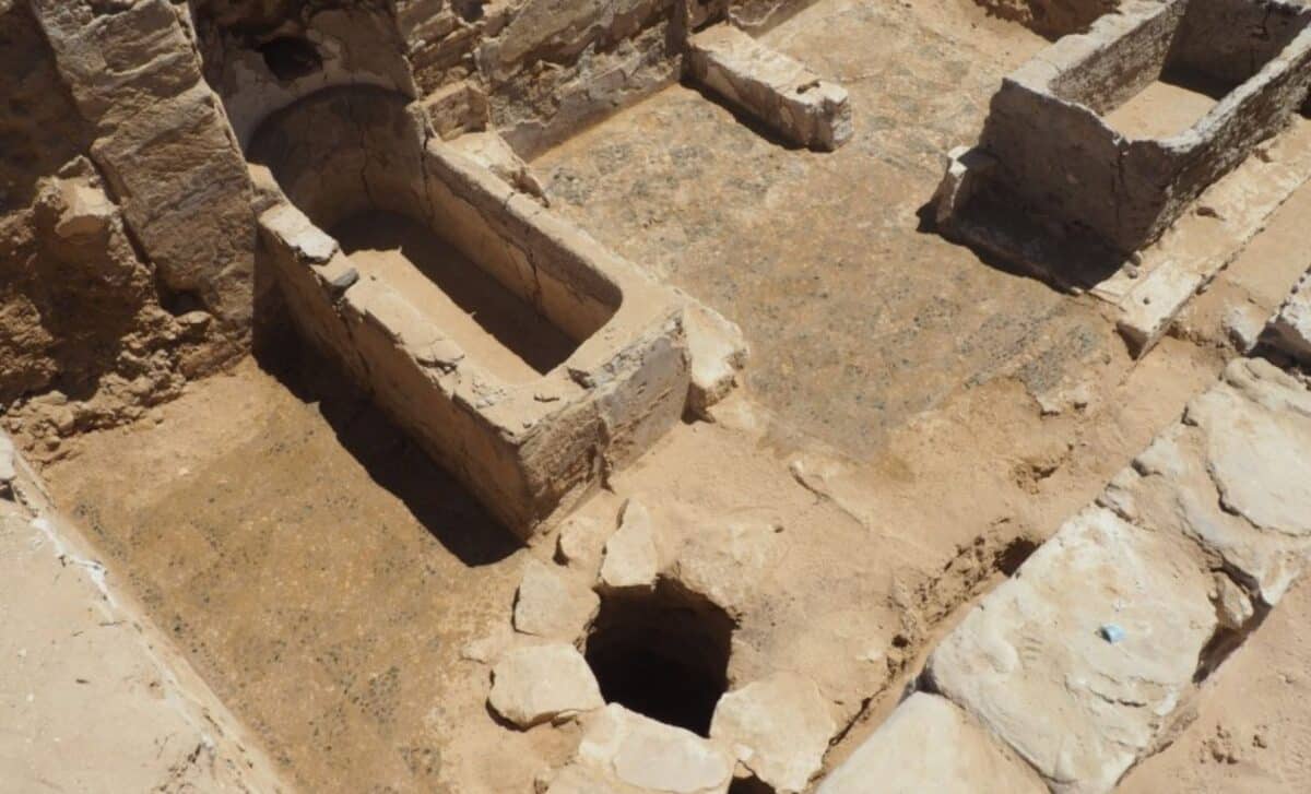 Archaeologists opened ancient Egyptian tombs by the sea and found a sealed granite coffin and 24 gold tongues