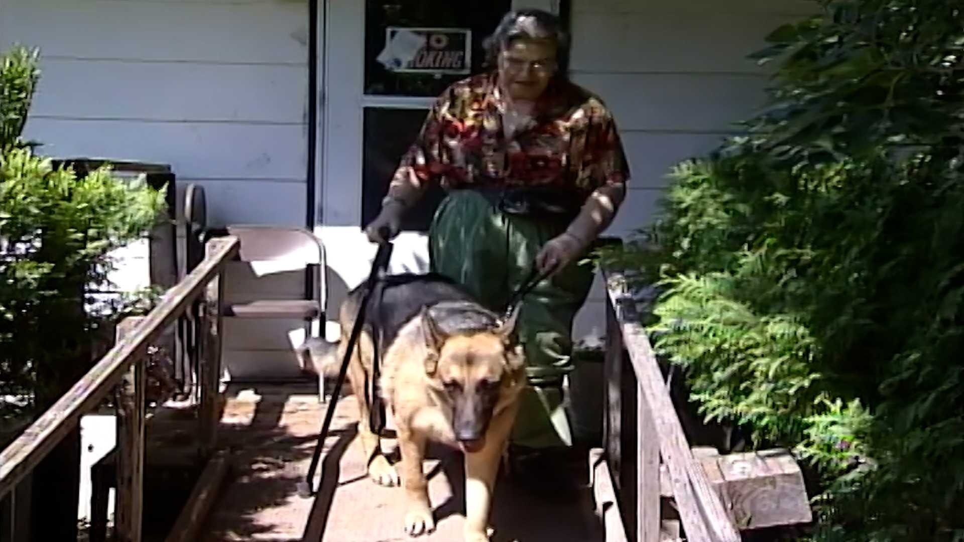 Iowa dog inducted into state's Animal Hall of Fame in 2001 after saving ...