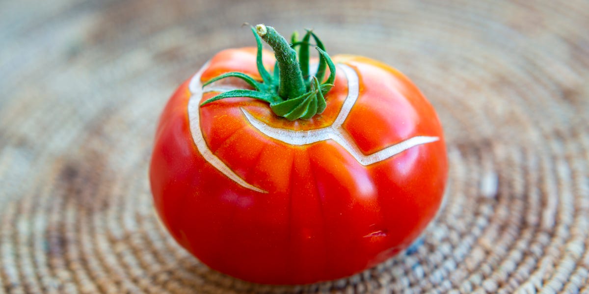 How to Stop Tomatoes From Splitting