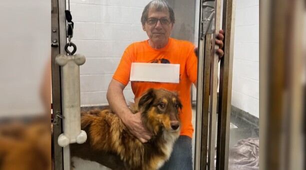 Charge against animal control officer to be dropped; Rosie the dog is free
