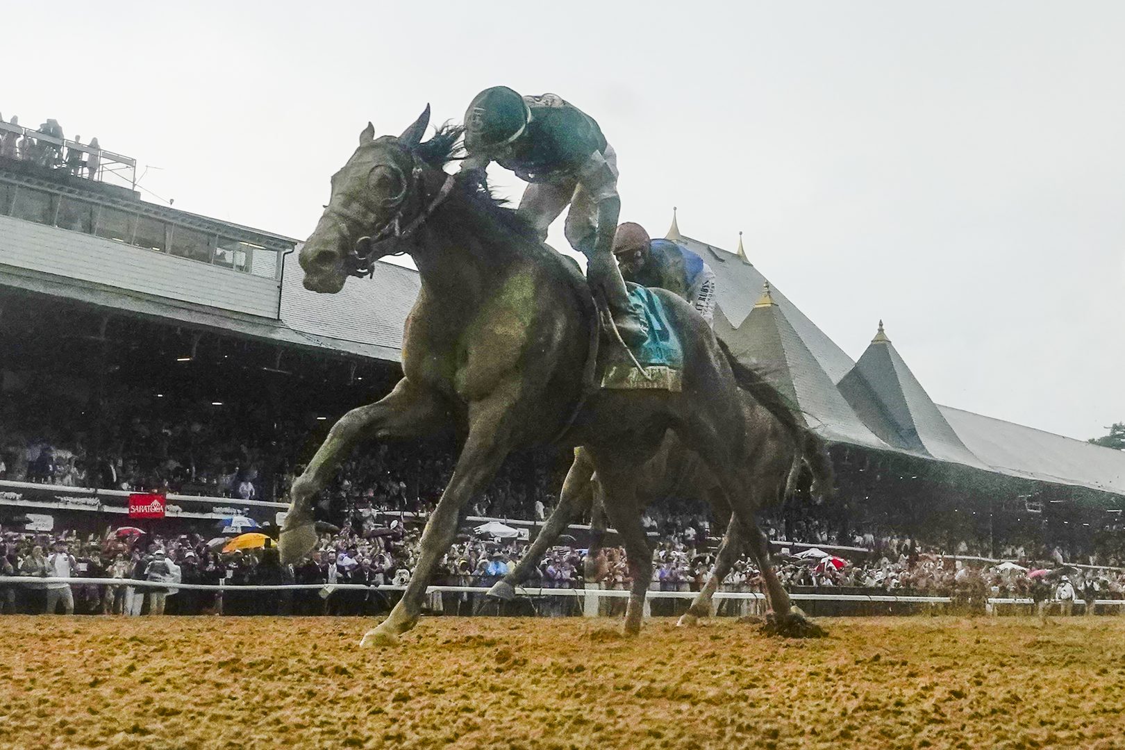 Bitcoin entrepreneur announces plans for a luxury horse racing venue in ...
