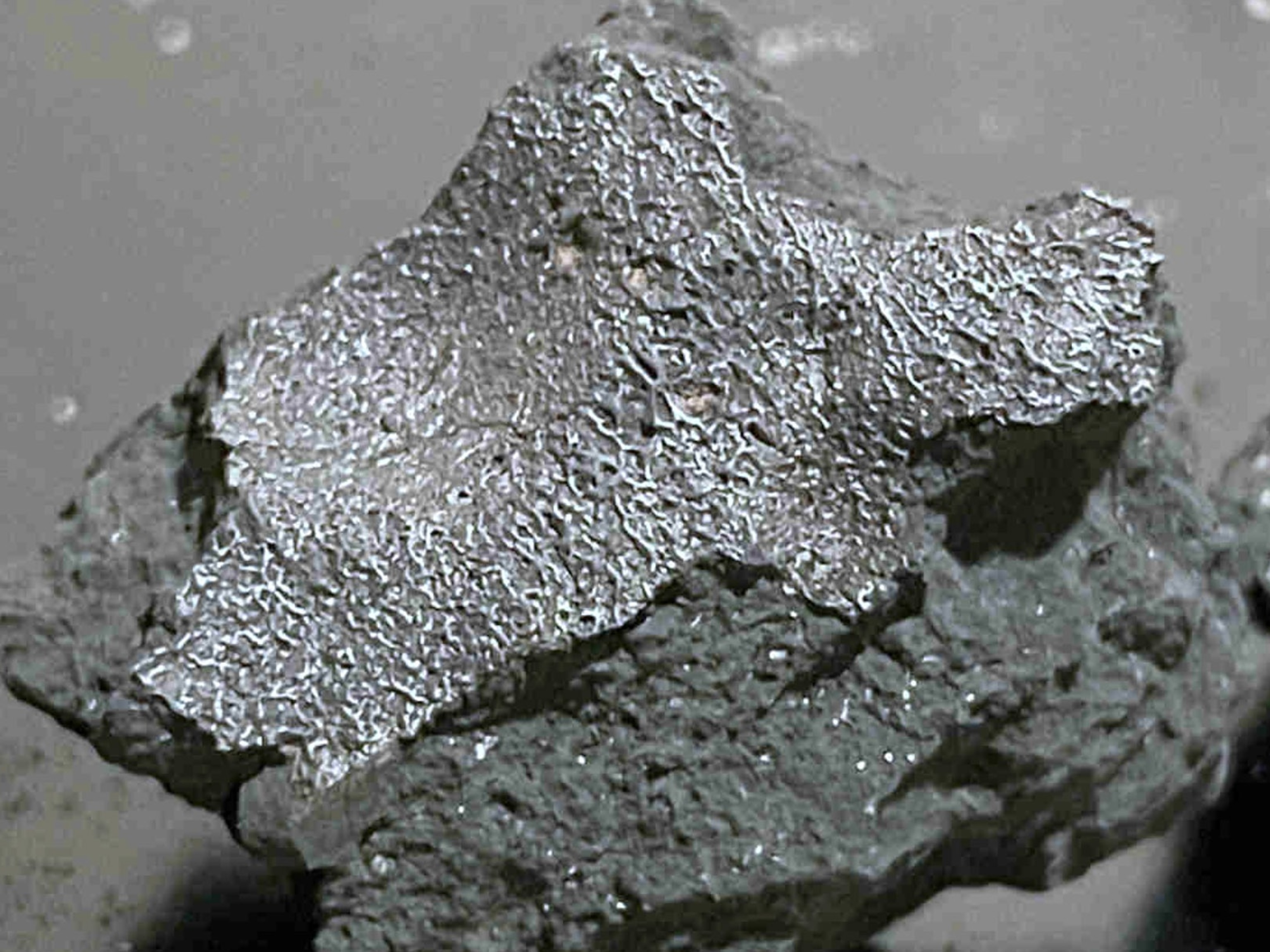 Meteorite that crashed into NJ home contains 'building blocks of life': Astronomers